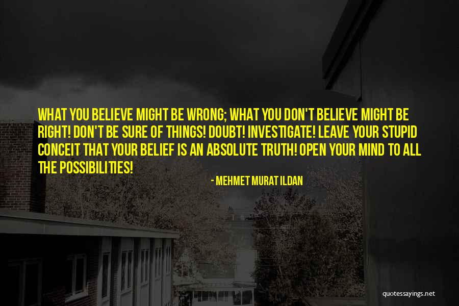 Menma Uzumaki Quotes By Mehmet Murat Ildan
