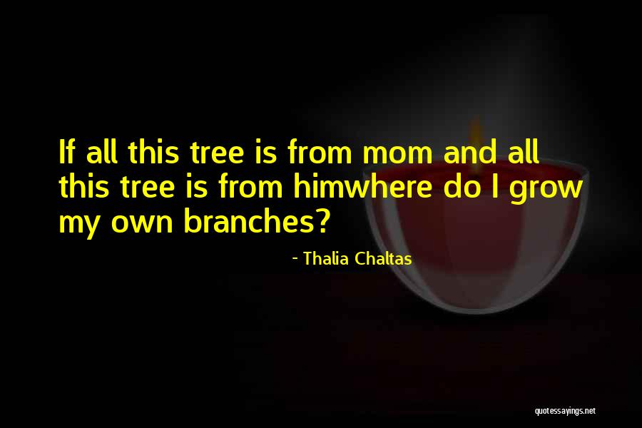 Menneskerettsdomstolen Quotes By Thalia Chaltas Menneskerettsdomstolen Quotes By Thalia Chaltas
