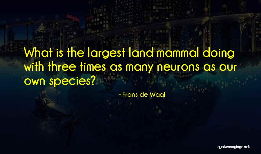Menningarsjokk Quotes By Frans De Waal Menningarsjokk Quotes By Frans De Waal