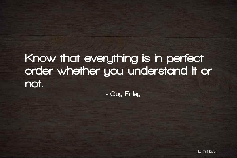 Menocal Ornament Quotes By Guy Finley