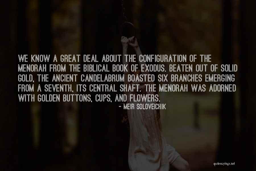 Menorah Quotes By Meir Soloveichik Menorah Quotes By Meir Soloveichik