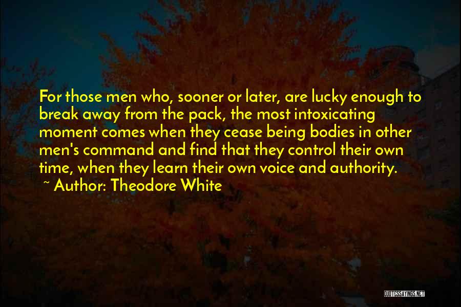 Men's Bodies Quotes By Theodore White