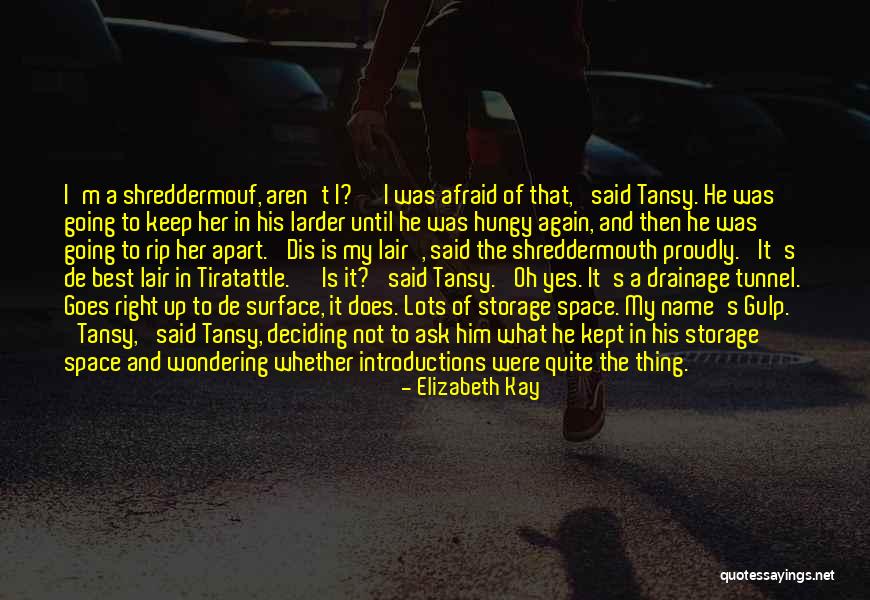 Men's Humor Quotes By Elizabeth Kay Men's Humor Quotes By Elizabeth Kay