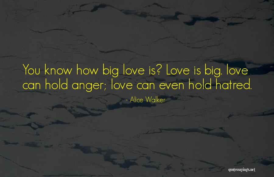 Menschel Design Quotes By Alice Walker Menschel Design Quotes By Alice Walker