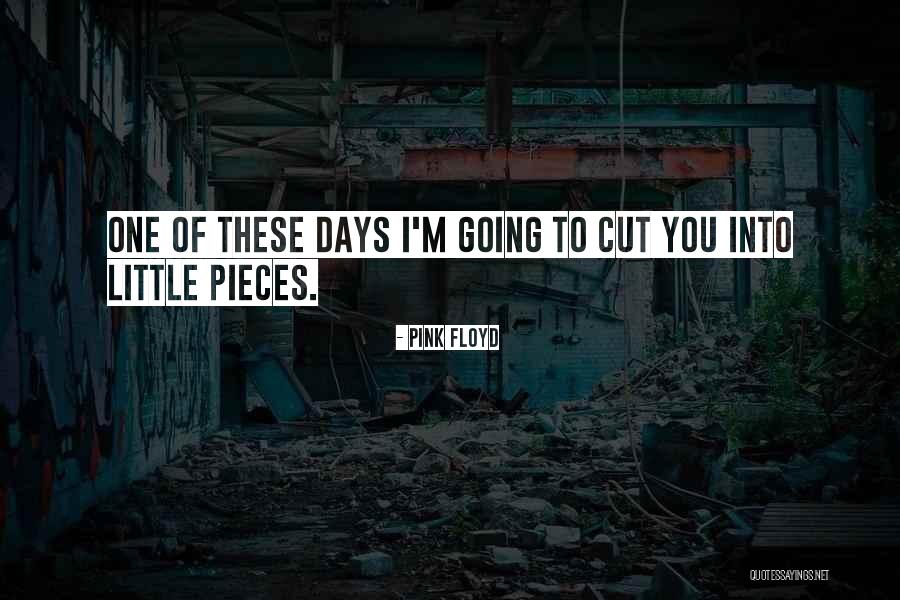 Menschliches Skelett Quotes By Pink Floyd Menschliches Skelett Quotes By Pink Floyd