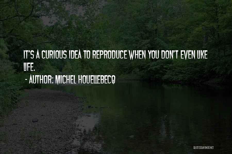 Mensyukuri Nikmat Quotes By Michel Houellebecq