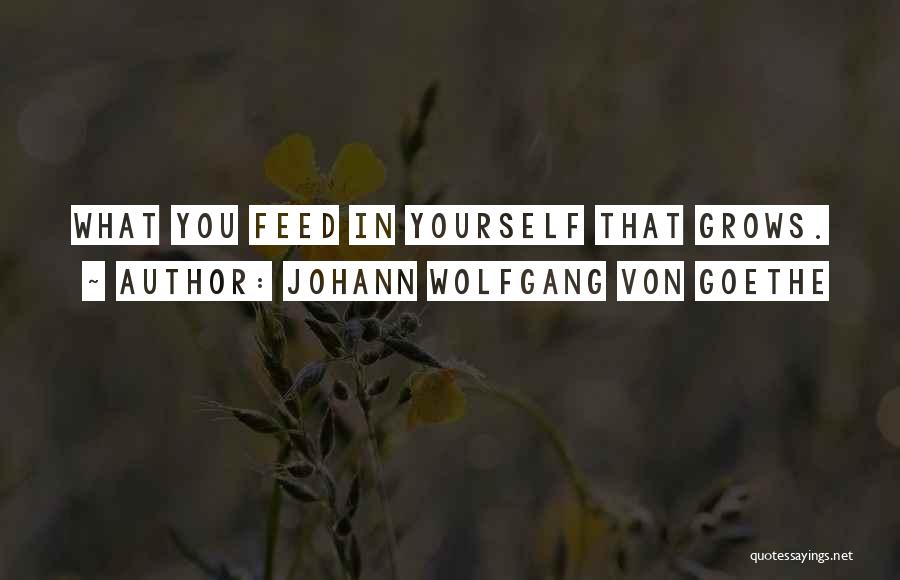 Mental Awareness Quotes By Johann Wolfgang Von Goethe