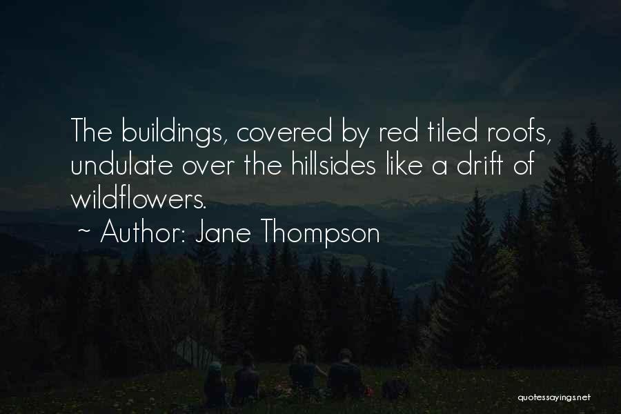Mental Health Disorder Quotes By Jane Thompson