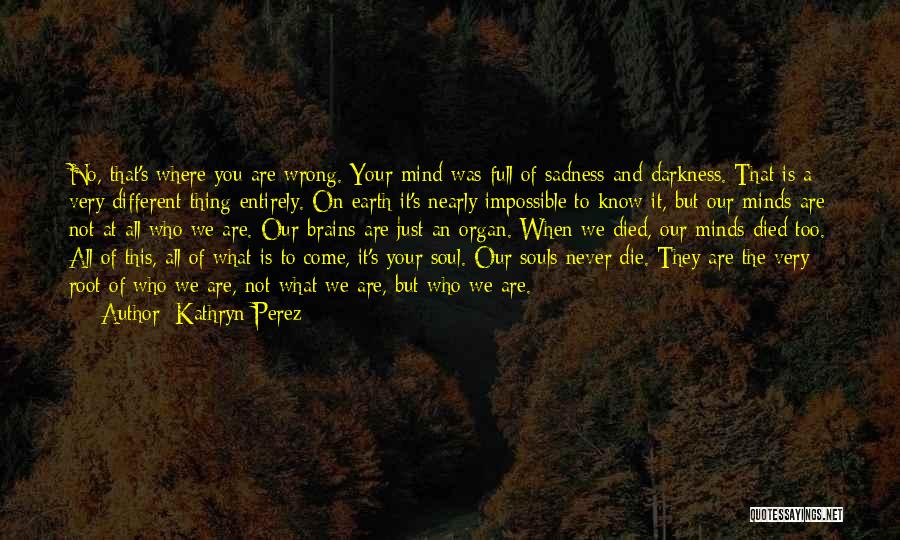 Mental Health Illness Quotes By Kathryn Perez