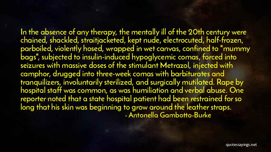 Mental Hospitals Quotes By Antonella Gambotto-Burke Mental Hospitals Quotes By Antonella Gambotto-Burke