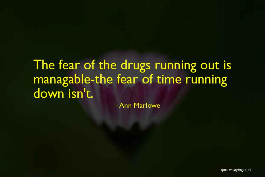 Mental Illness And Addiction Quotes By Ann Marlowe