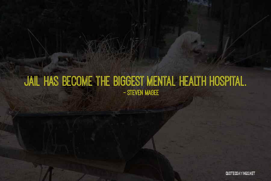 Mental Illness Health Quotes By Steven Magee