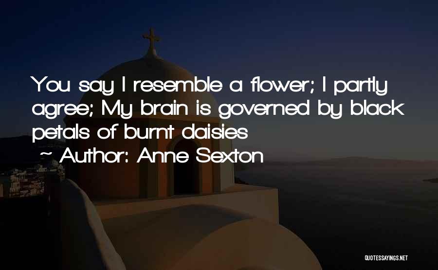 Mental Illness Quotes By Anne Sexton