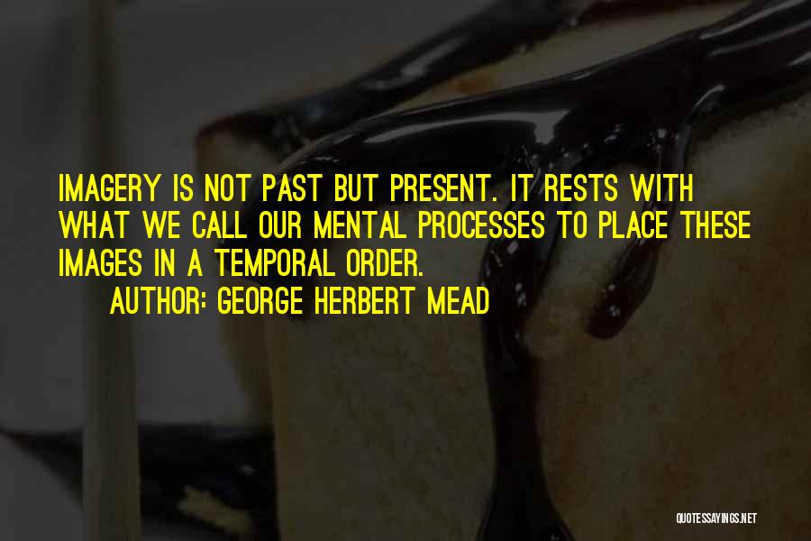 Mental Imagery Quotes By George Herbert Mead