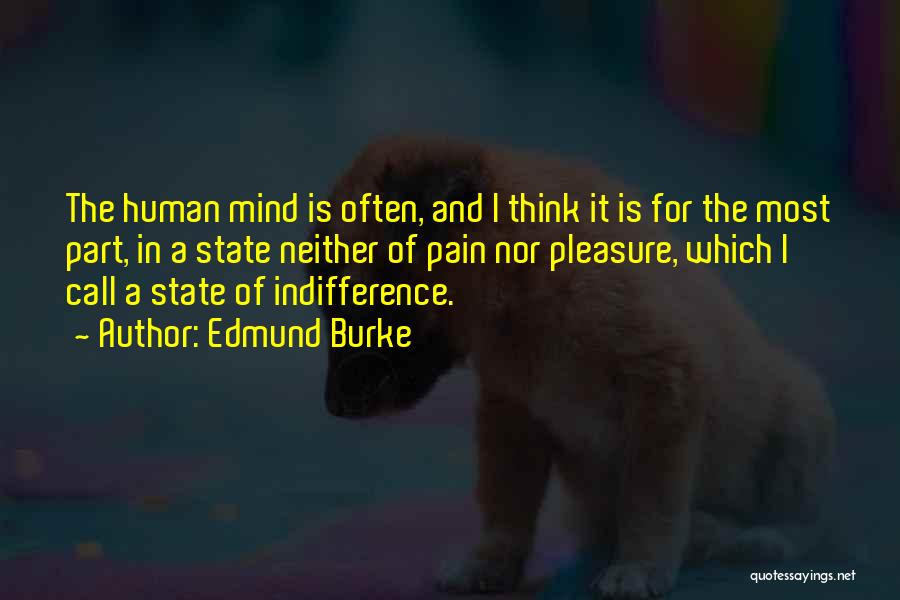 Mental Pain Quotes By Edmund Burke