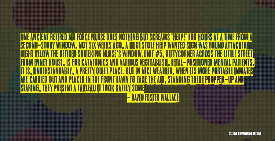 Mental Patients Quotes By David Foster Wallace