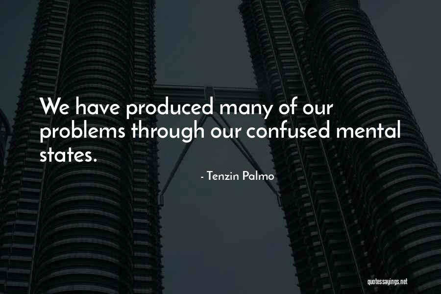 Mental Problems Quotes By Tenzin Palmo