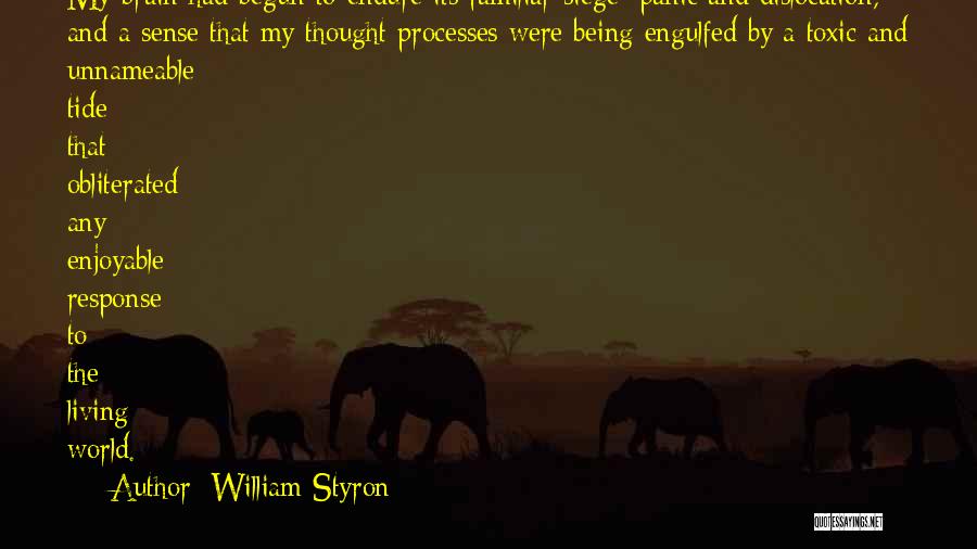 Mental Processes Quotes By William Styron
