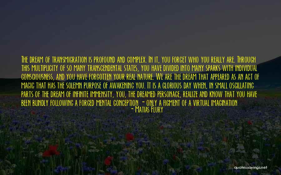 Mental Projection Quotes By Matias Flury Mental Projection Quotes By Matias Flury