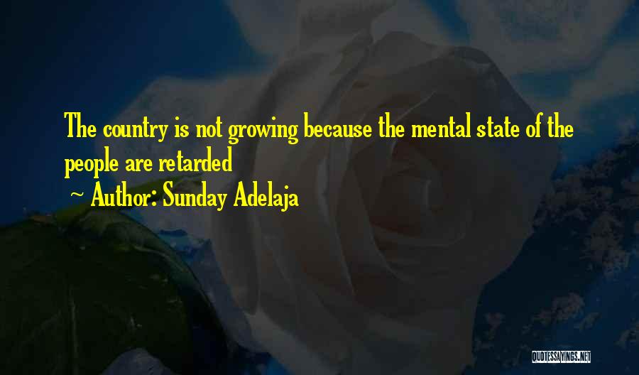 Mental Retardation Quotes By Sunday Adelaja