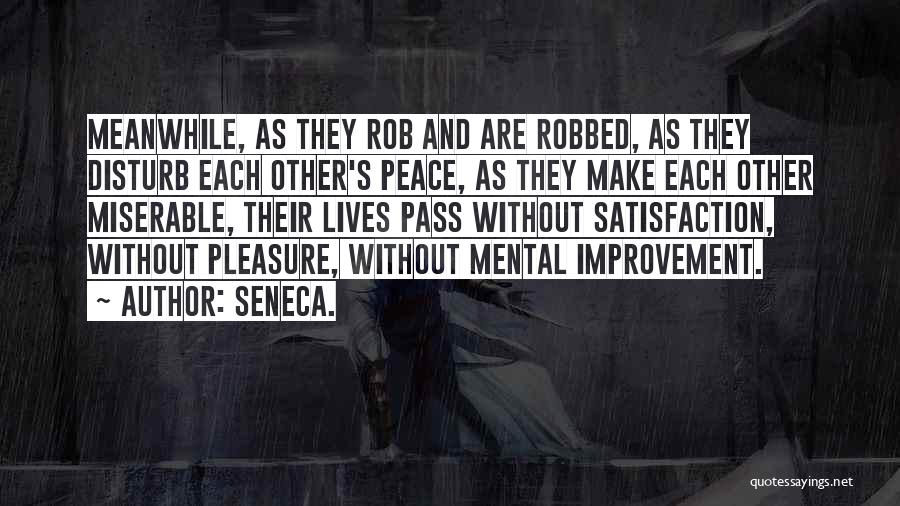 Mental Satisfaction Quotes By Seneca.