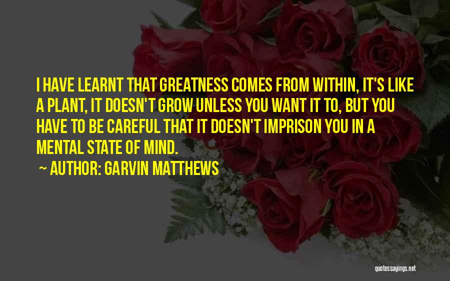 Mental State Of Mind Quotes By Garvin Matthews