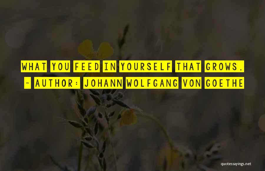 Mental State Of Mind Quotes By Johann Wolfgang Von Goethe