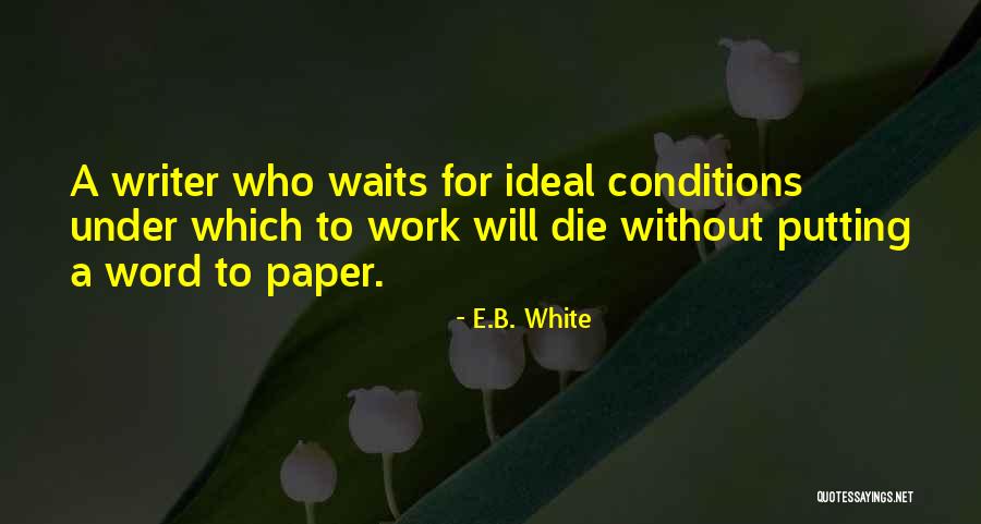 Mentawai Quotes By E.B. White Mentawai Quotes By E.B. White
