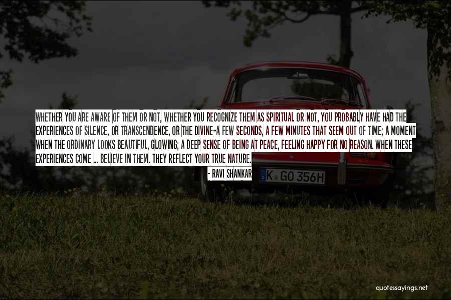 Menthe Pouliot Quotes By Ravi Shankar Menthe Pouliot Quotes By Ravi Shankar