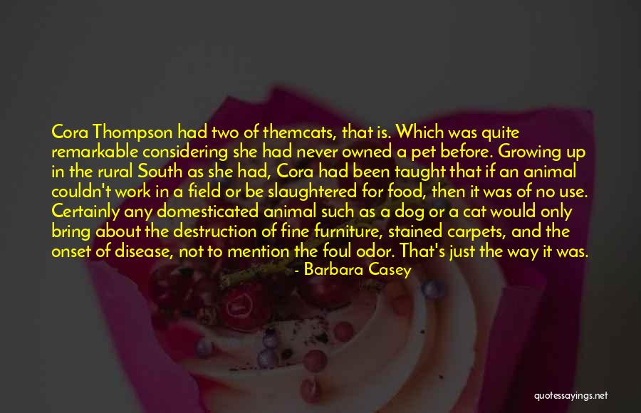 Mention Not Quotes By Barbara Casey Mention Not Quotes By Barbara Casey