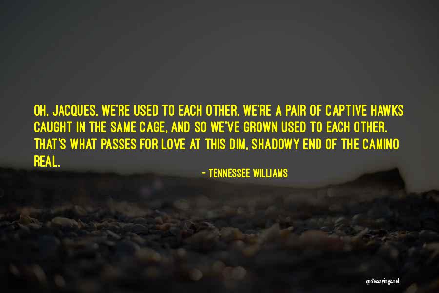 Mentrasto Quotes By Tennessee Williams Mentrasto Quotes By Tennessee Williams
