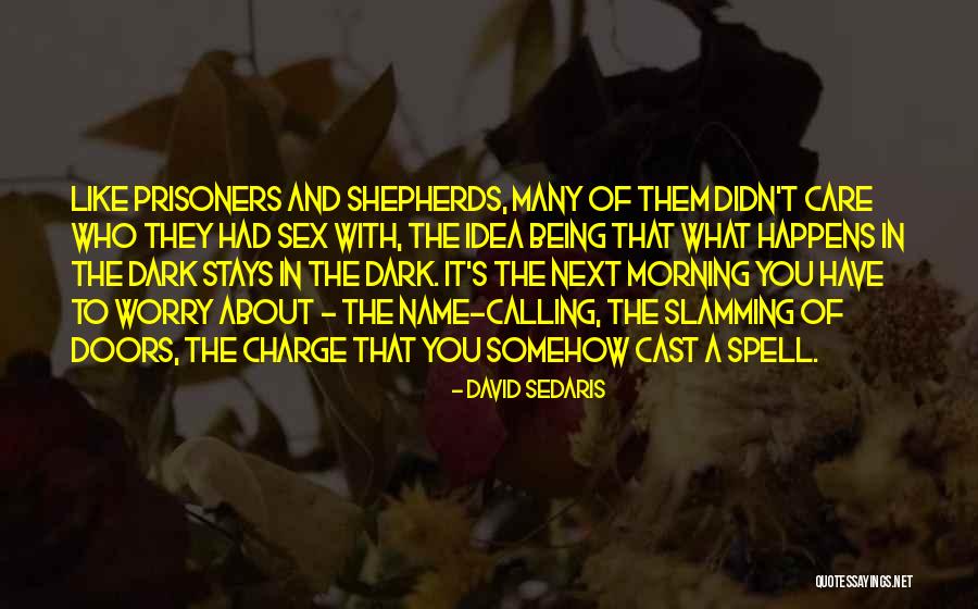 Ments Meg Quotes By David Sedaris Ments Meg Quotes By David Sedaris