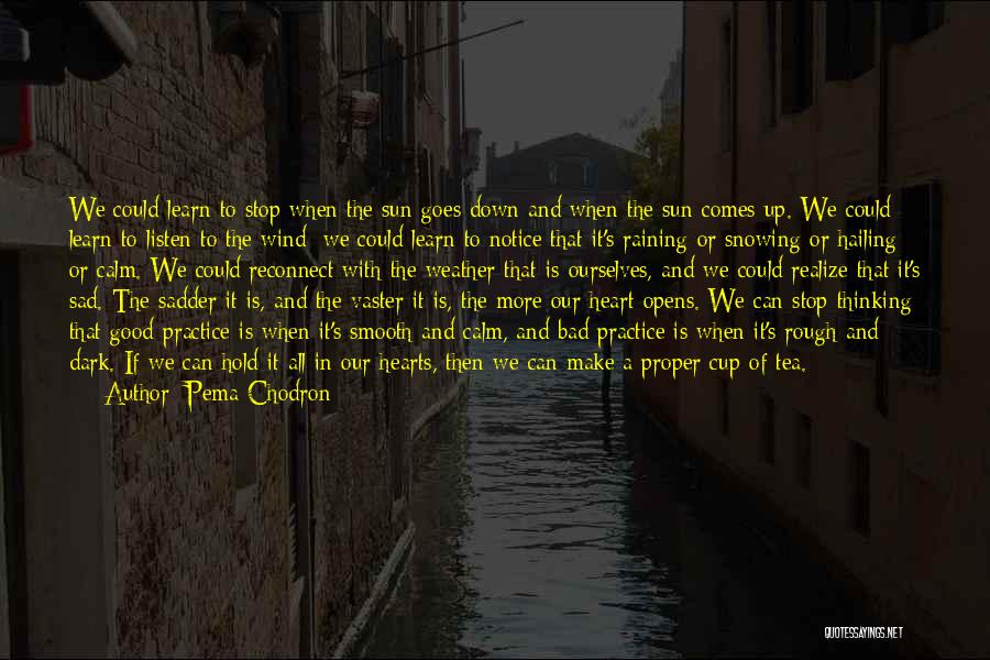 Menucci Bertucci Quotes By Pema Chodron