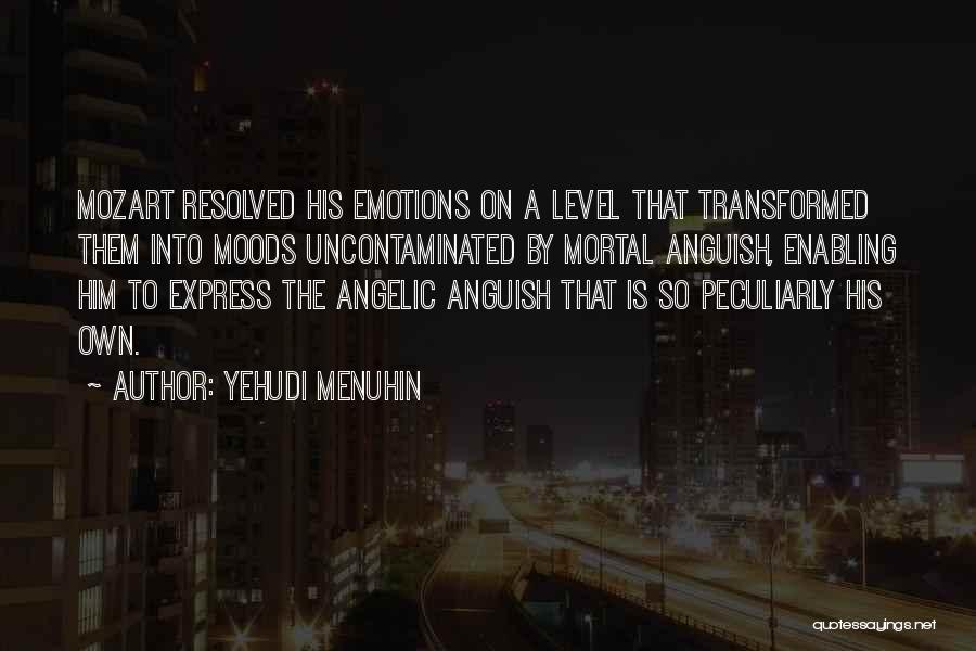 Menuhin Quotes By Yehudi Menuhin