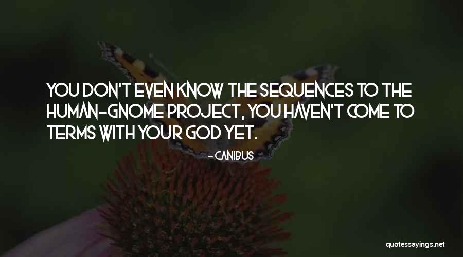 Menuhin Yoga Quotes By Canibus Menuhin Yoga Quotes By Canibus