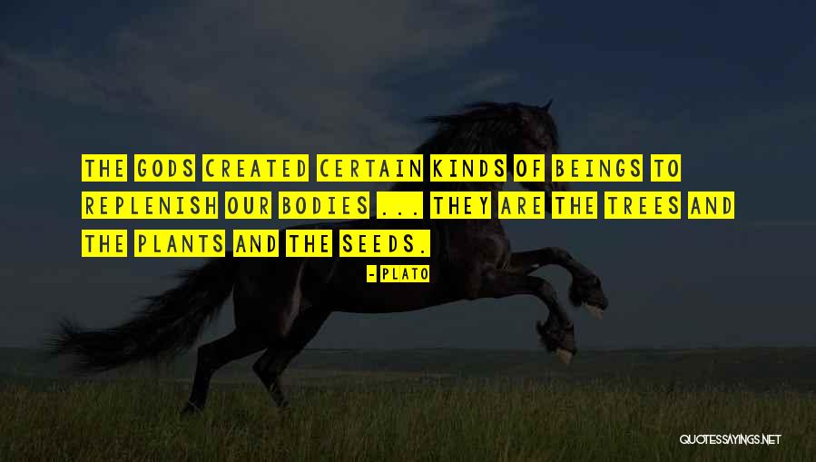 Menunggumu Anji Quotes By Plato Menunggumu Anji Quotes By Plato