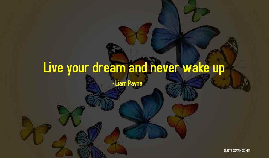 Menutupi Wajah Quotes By Liam Payne Menutupi Wajah Quotes By Liam Payne