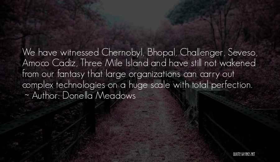 Menyukakan Quotes By Donella Meadows