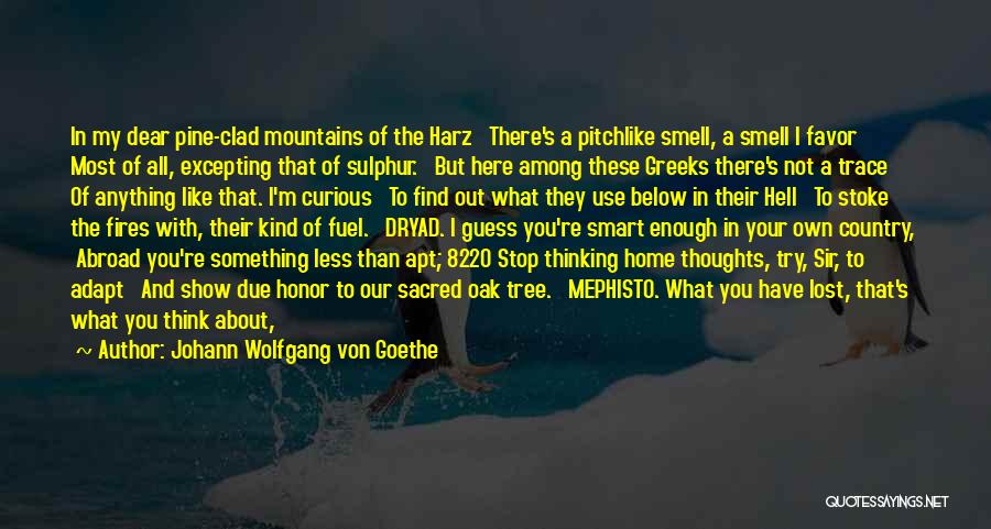 Mephisto Quotes By Johann Wolfgang Von Goethe