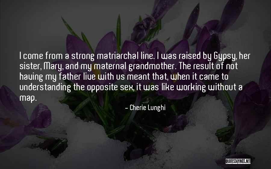 Merae Assets Quotes By Cherie Lunghi Merae Assets Quotes By Cherie Lunghi
