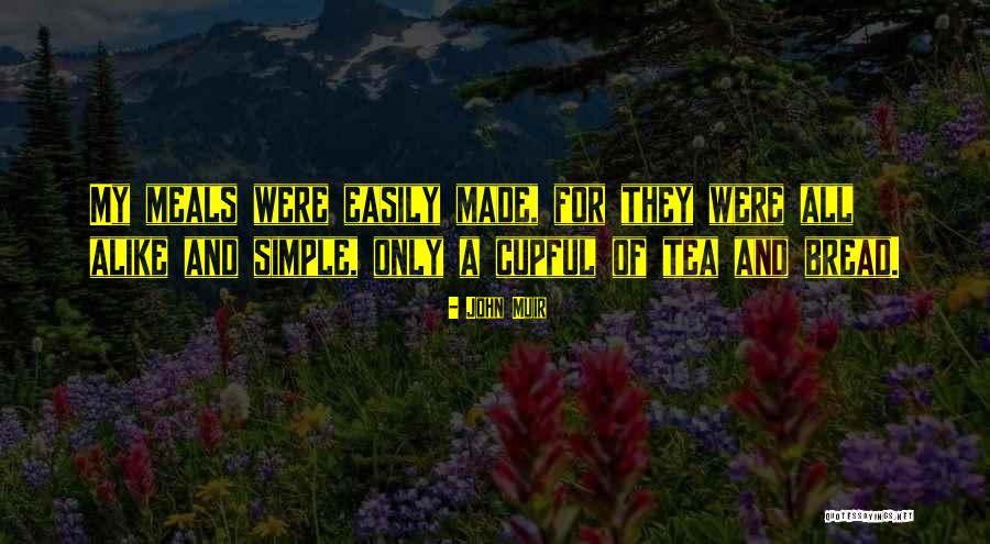 Meraki Litchfield Quotes By John Muir Meraki Litchfield Quotes By John Muir