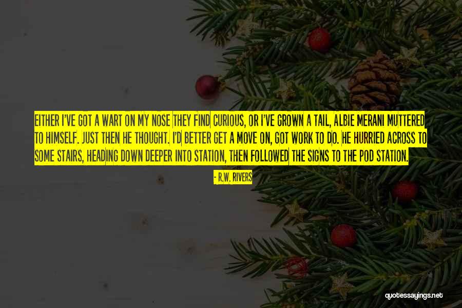 Merani Quotes By R.W. Rivers Merani Quotes By R.W. Rivers