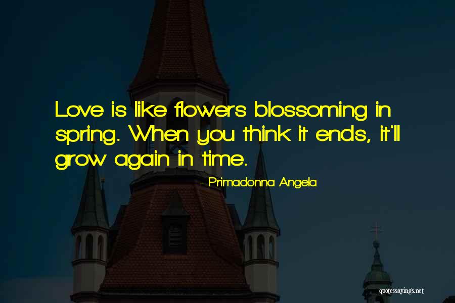 Merante And Merante Quotes By Primadonna Angela Merante And Merante Quotes By Primadonna Angela