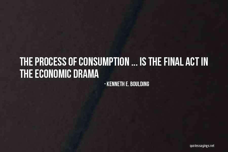 Merauke Quotes By Kenneth E. Boulding