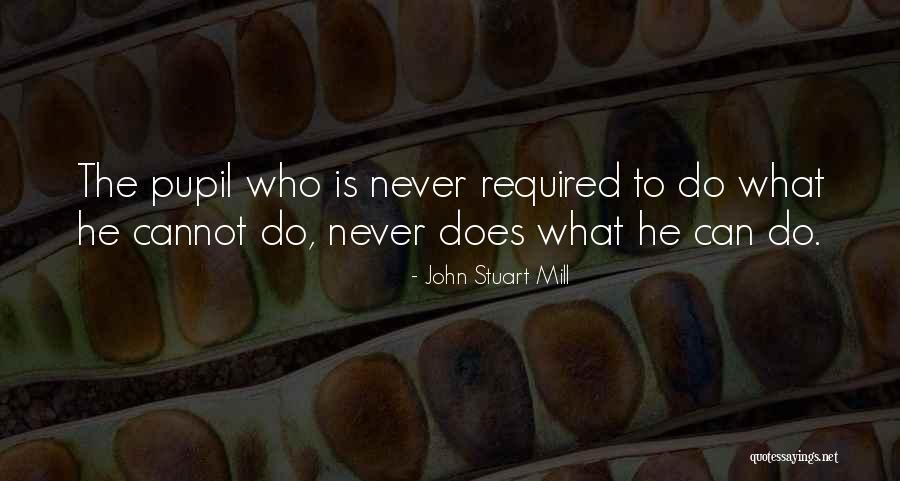Meraz Pureauty Quotes By John Stuart Mill Meraz Pureauty Quotes By John Stuart Mill