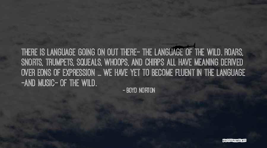 Merbabu Corporation Quotes By Boyd Norton Merbabu Corporation Quotes By Boyd Norton
