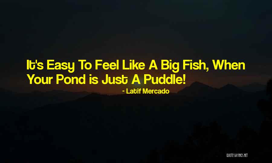 Mercado Quotes By Latif Mercado Mercado Quotes By Latif Mercado