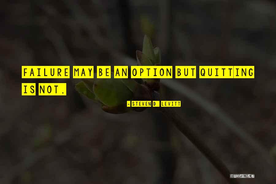 Mercator Spletna Quotes By Steven D. Levitt