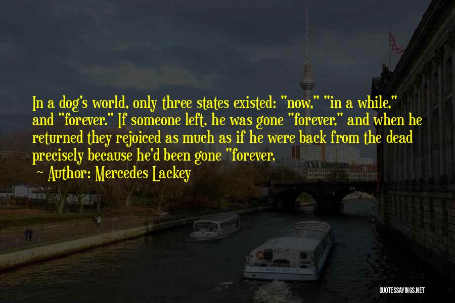 Mercedes Lackey Quotes 613877