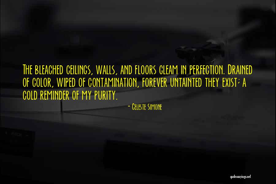 Mercedita Shoes Quotes By Celeste Simone Mercedita Shoes Quotes By Celeste Simone